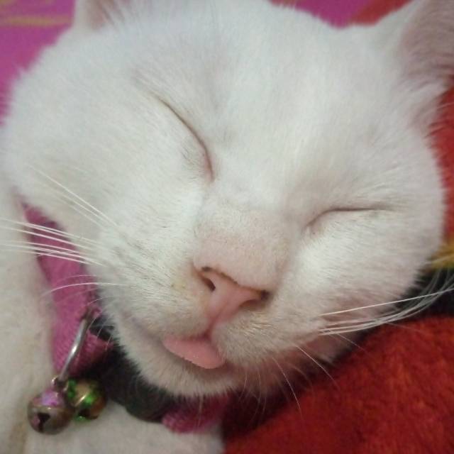 khoirunnisa.salsabilaa123