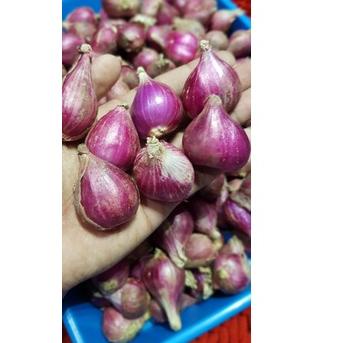 

FLASH SALE !|SQ36|Bawang Merah Brebes Besar 1 Kg