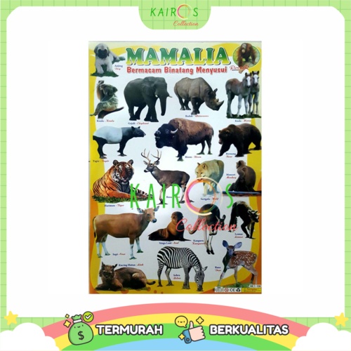 Poster Edukasi Anak Belajar Binatang Mamalia