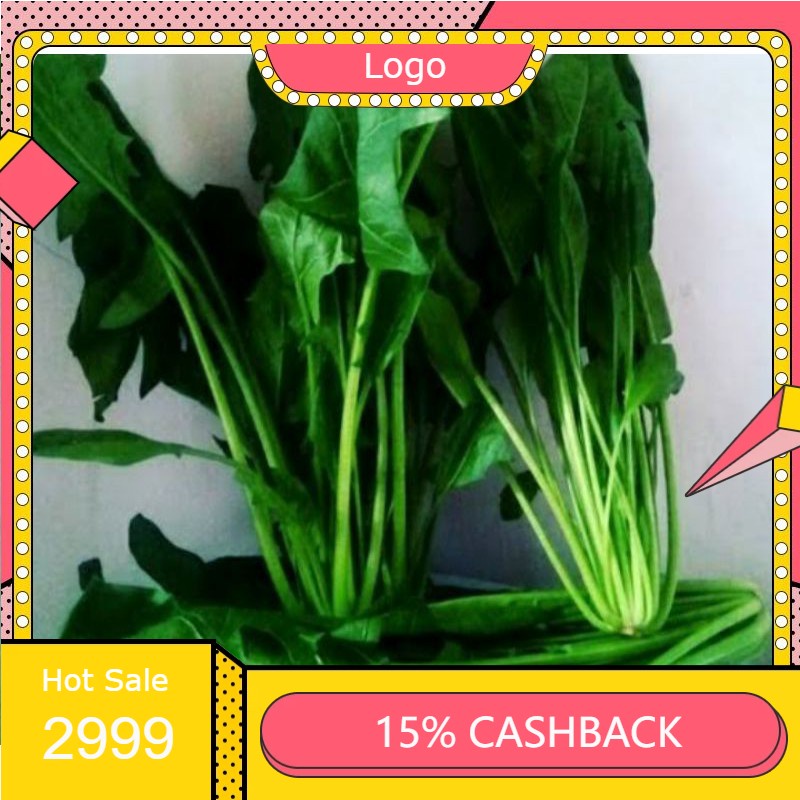 

RENGKEK SURABAYA - Bayam Jepang / Pocai / Horenso