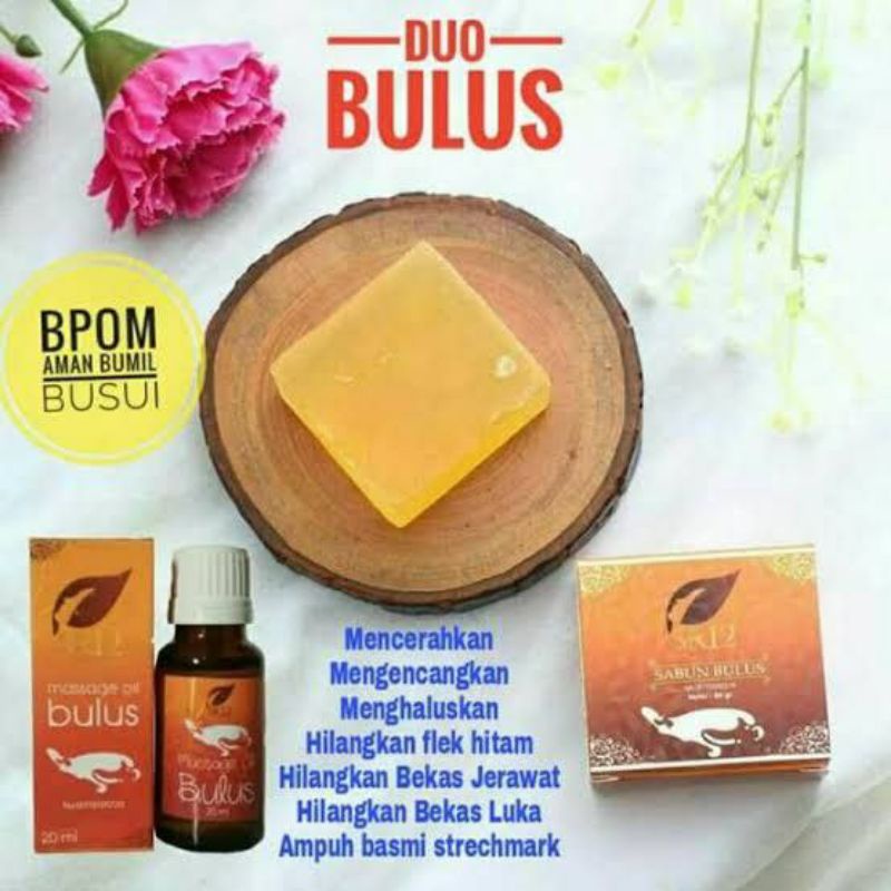 MINYAK BULUS SR12 TOP PENGHILANG JERAWAT, FLEK HITAM, KUTIL, PENYAKIT KULIT, PEMBESAR PAYUDARA DAN M