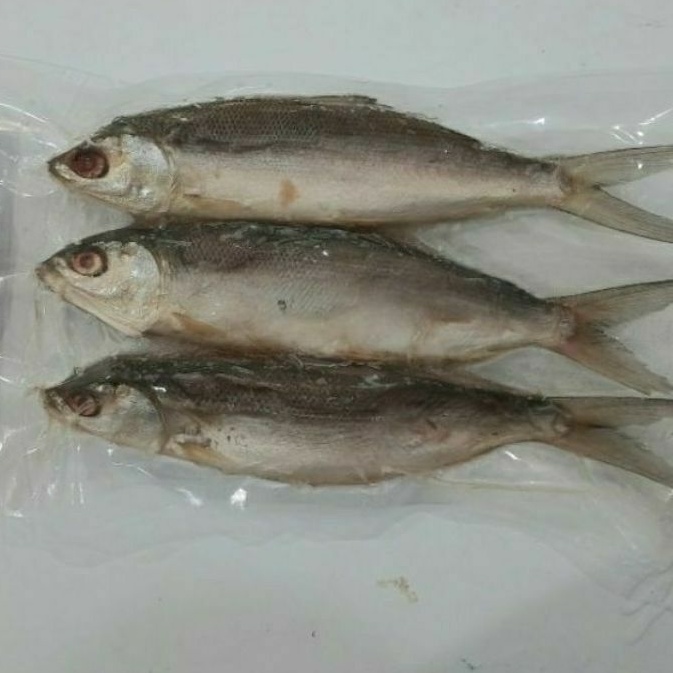 

Bandeng Tanpa Duri 500 gr frozen