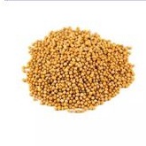 

PREMIUM YELLOW MUSTAED SEED 1 KG