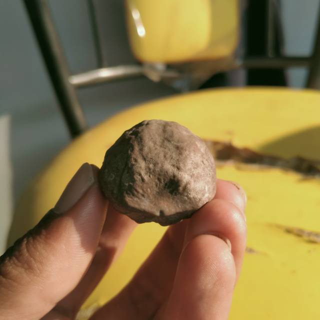 Kemiri atau Muncang Adu Jenis Mayit Jawa