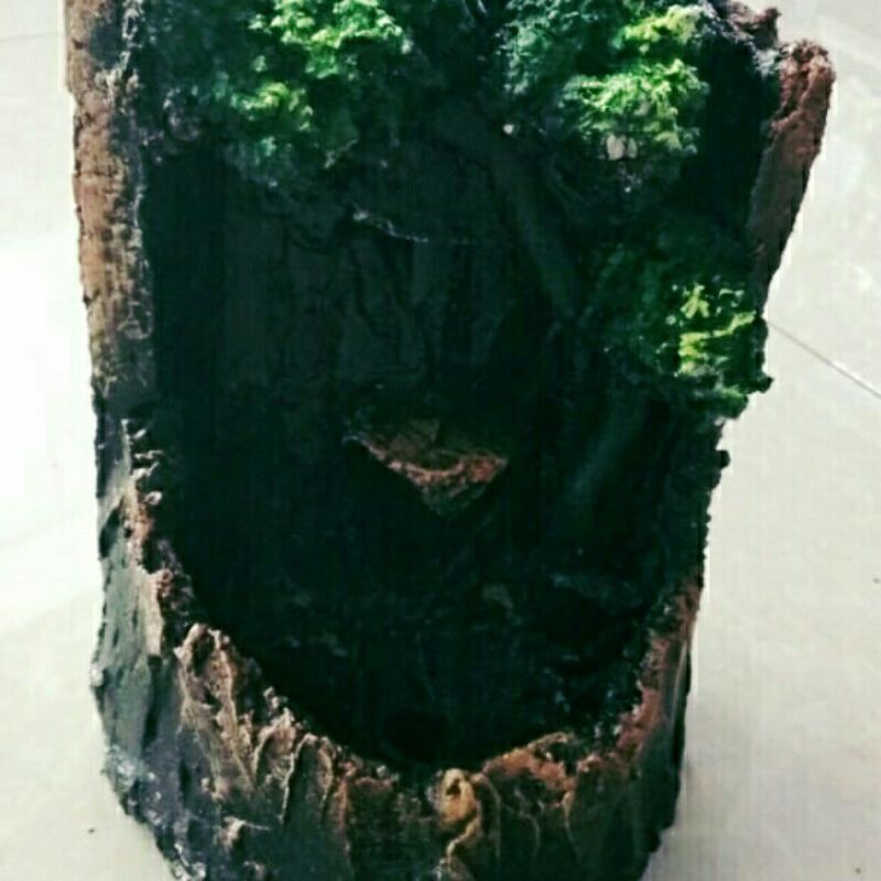 Air Terjun Hiasan Aquascape