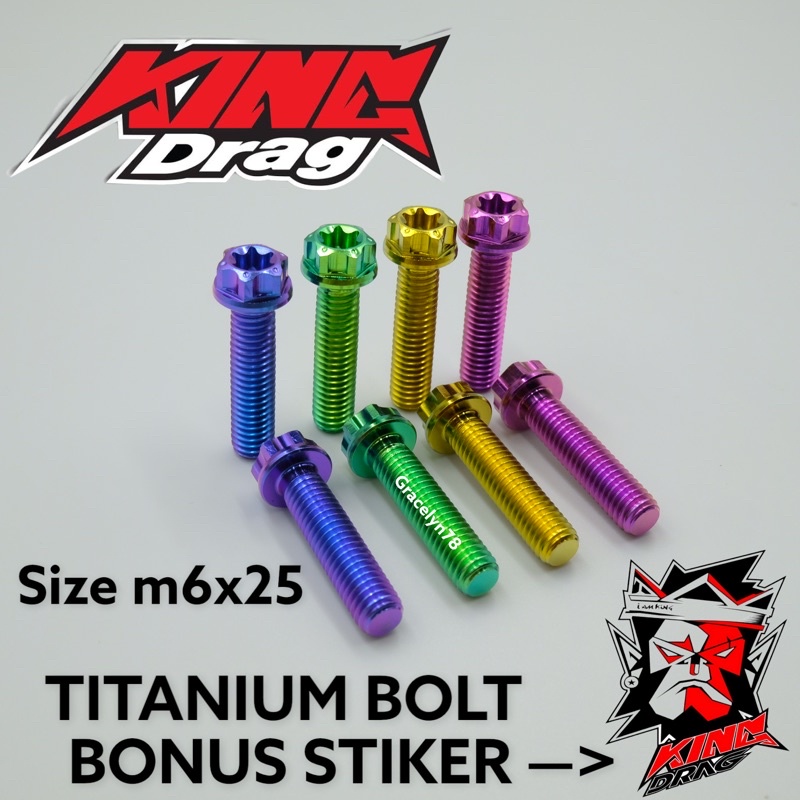 baut TITANIUM m6x25 6x25 baut drat 10 panjang 2,5 cm ORIGINAL KING DRAG BOLT