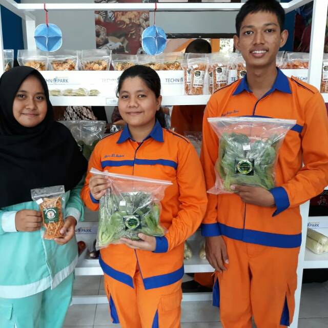 

Sayuran hidroponik (higenis)