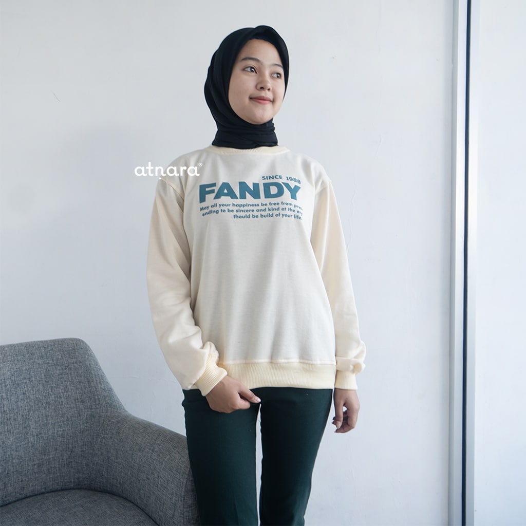 Nara Grosir - Fandy Sweater l Sweater Pria dan Wanita