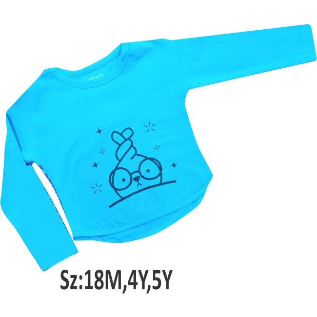 Baju Anak Long Sleeve Lengan Panjang Little Hippo / Kaos anak long sleeve Littlehippo Long Sleeve