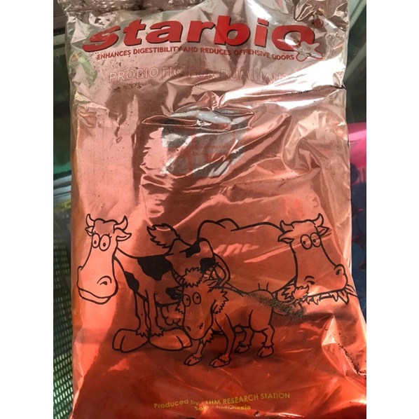 STARBIO | PROBIOTIK UNTUK TERNAK SAPI DAN KAMBING