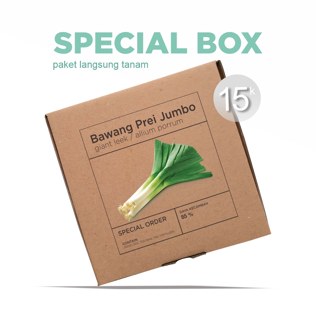 Paket Langsung Tanam - Gardening Kit - SPECIAL BOX - Benih Daun Bawang Prei Jumbo Giant Leek Seeds