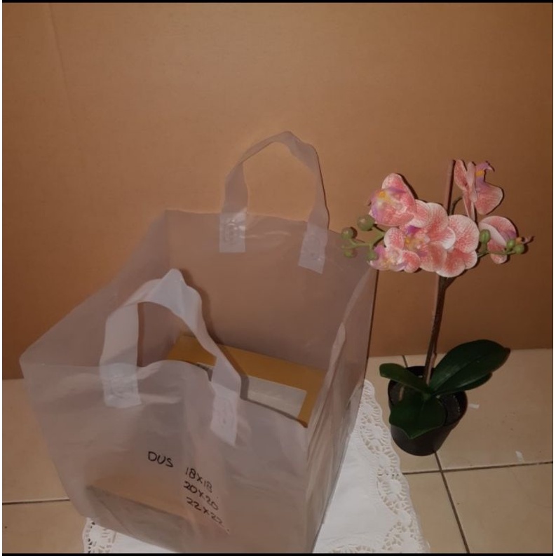 

plastik tenteng dus 22x22 isi 25 lembar