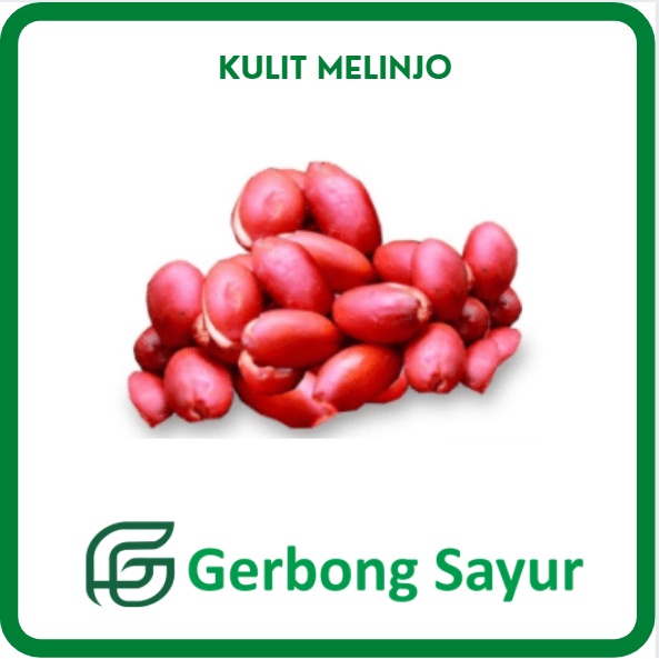 

Kulit Melinjo Mlinjo Segar - 250g