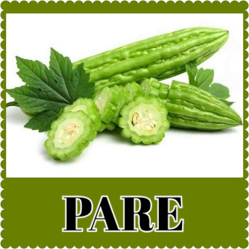 benih pare/ bibit pare