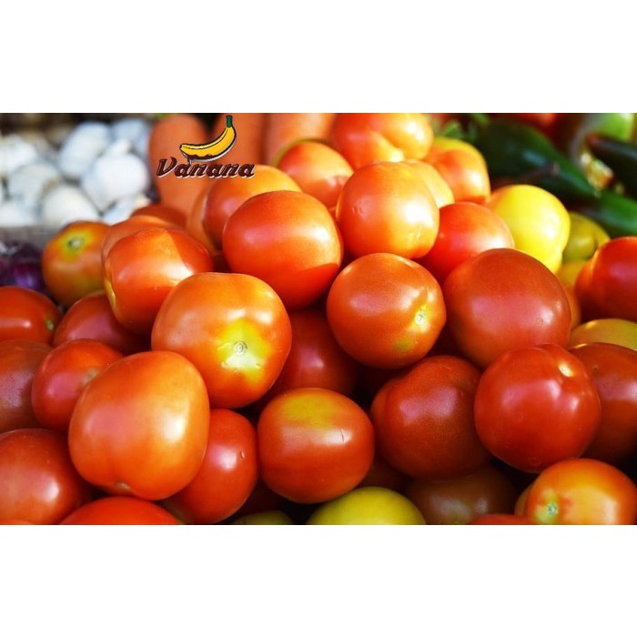 

Tomat biasa 1/4kg (250g)
