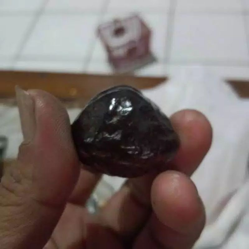 Muncang Adu/Kemiri Adu/kemiri Murah/Muncan Adu Asli Nusakambanagn