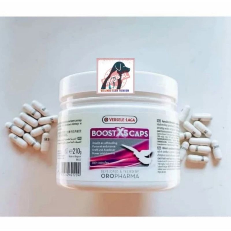 BOOSTX5 VITAMIN DOPING BURUNG MERPATI BOOST X5 VERSELE LAGA IMPORT