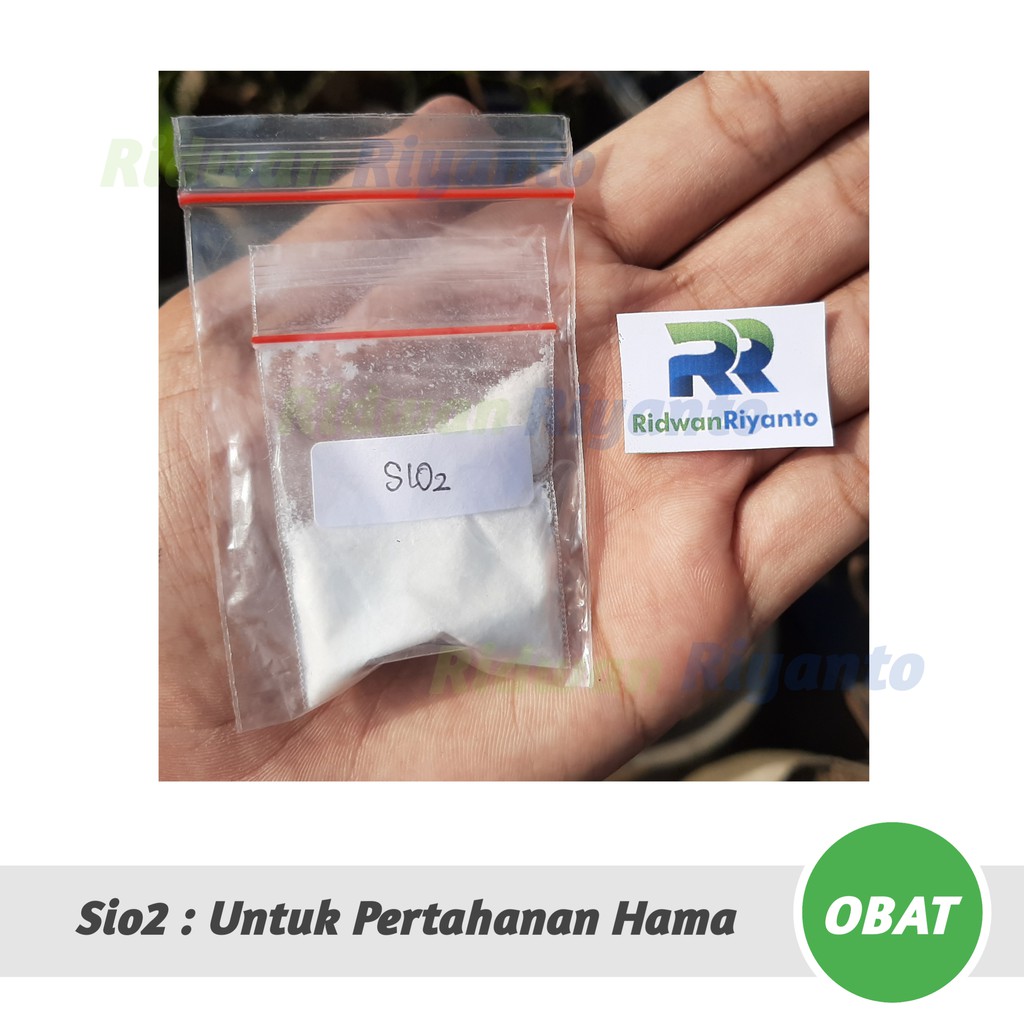 OBAT Cabai SiO2 atau Silikon Dioksida untuk Pertahanan Hama