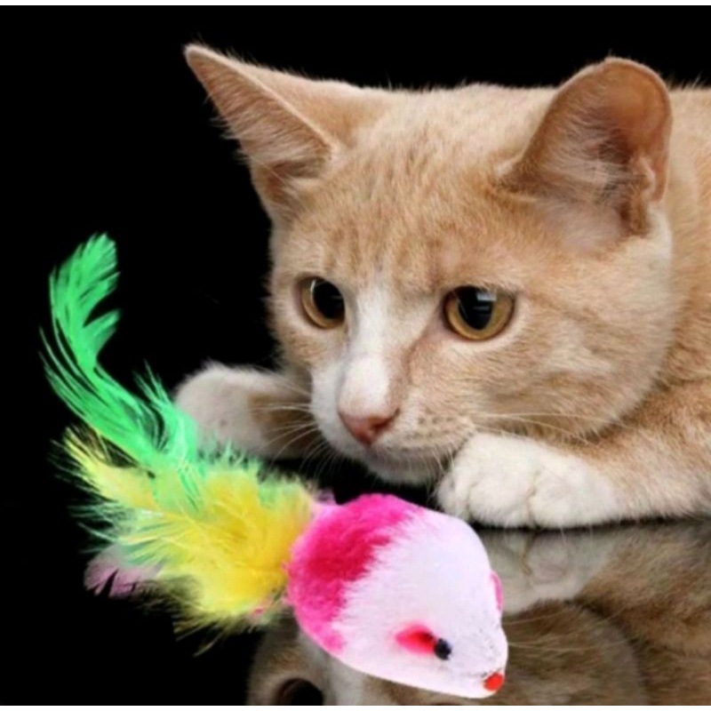 MAINAN KUCING CAT TOYS LENGKAP MURAH