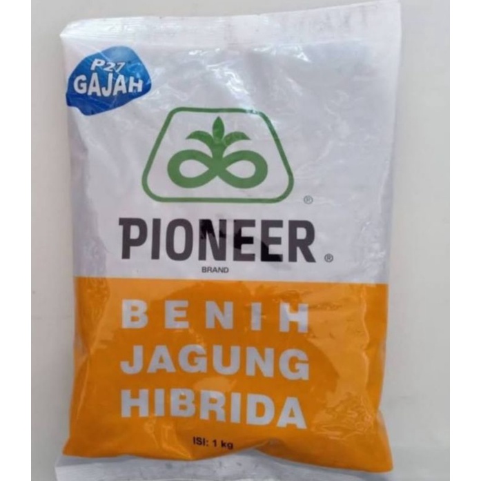 Benih Jagung Hibrida Pioneer P27 GAJAH