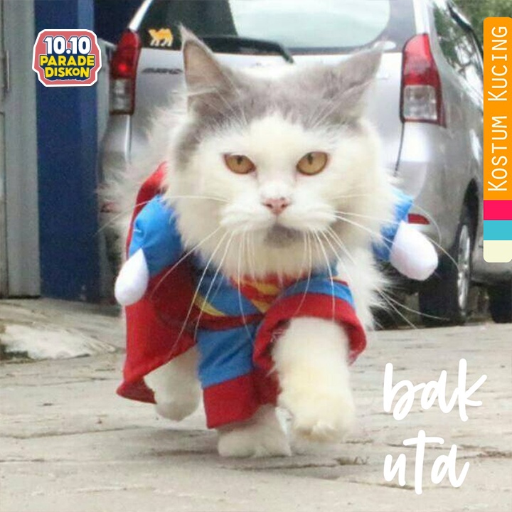 Kostum superman untuk kucing lucu banget / baju kucing size S M L XL