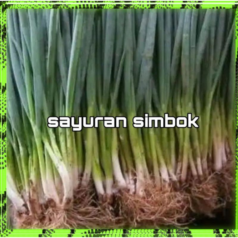 

Daun bawang Segar 100 gram