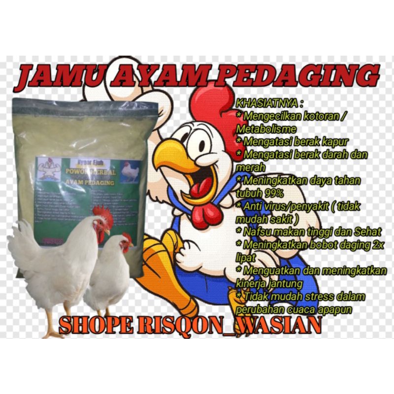 

ready jamu ayam pedaging super Joss