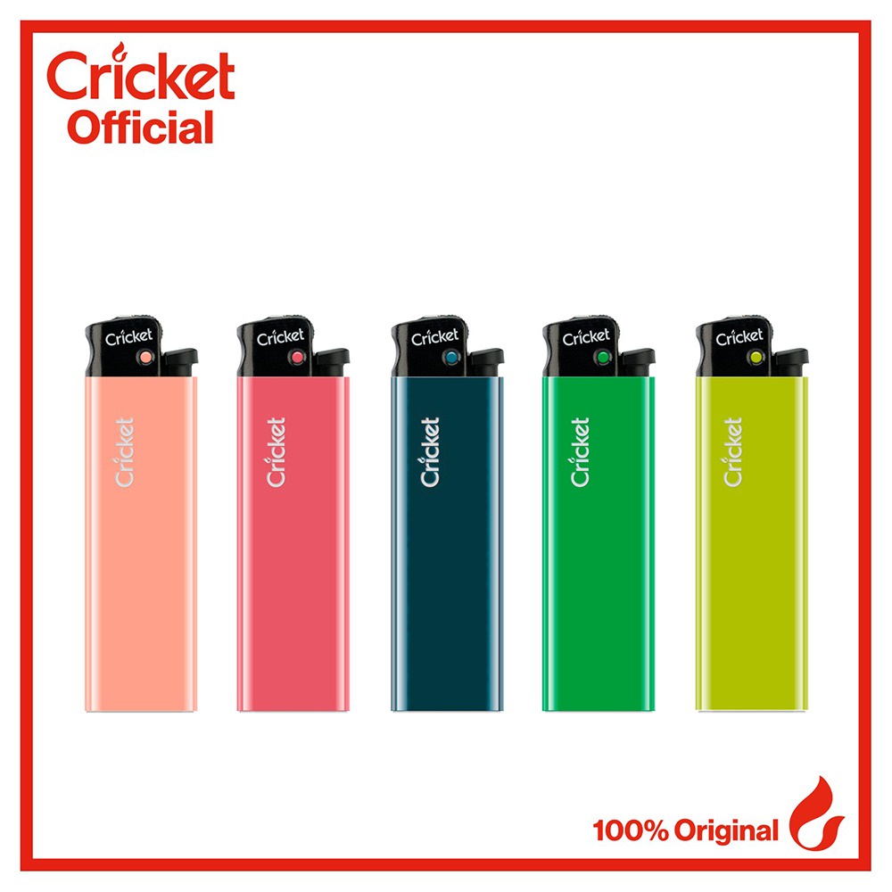 KOREK API CRICKET EDISI TERBATAS - SERI KAKTUS - 5 BUAH