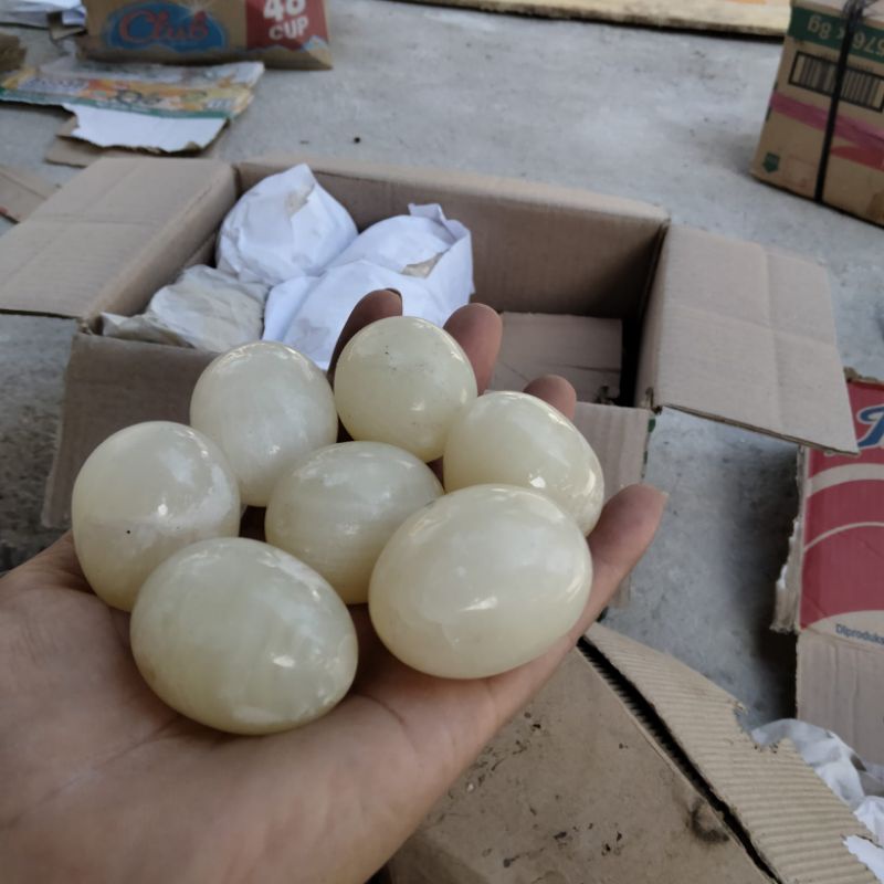 [NEW] TELUR PUYUH BATU