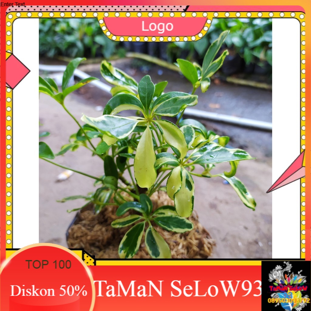 TANAMAN HIAS WALI SONGO BANDUNG