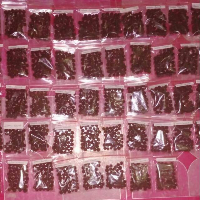 

Jamu dayak dan ramuan dayak