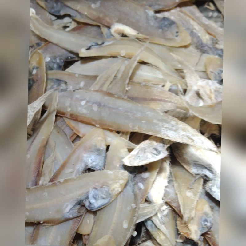 

ikan lidah medan super 500grm