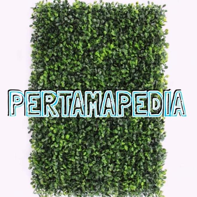 

Daun Rambat/Rumput Hiasan/Daun Plastik/ FindLove Uk.60 x 40cm PRODUK TERBATAS Kode 941