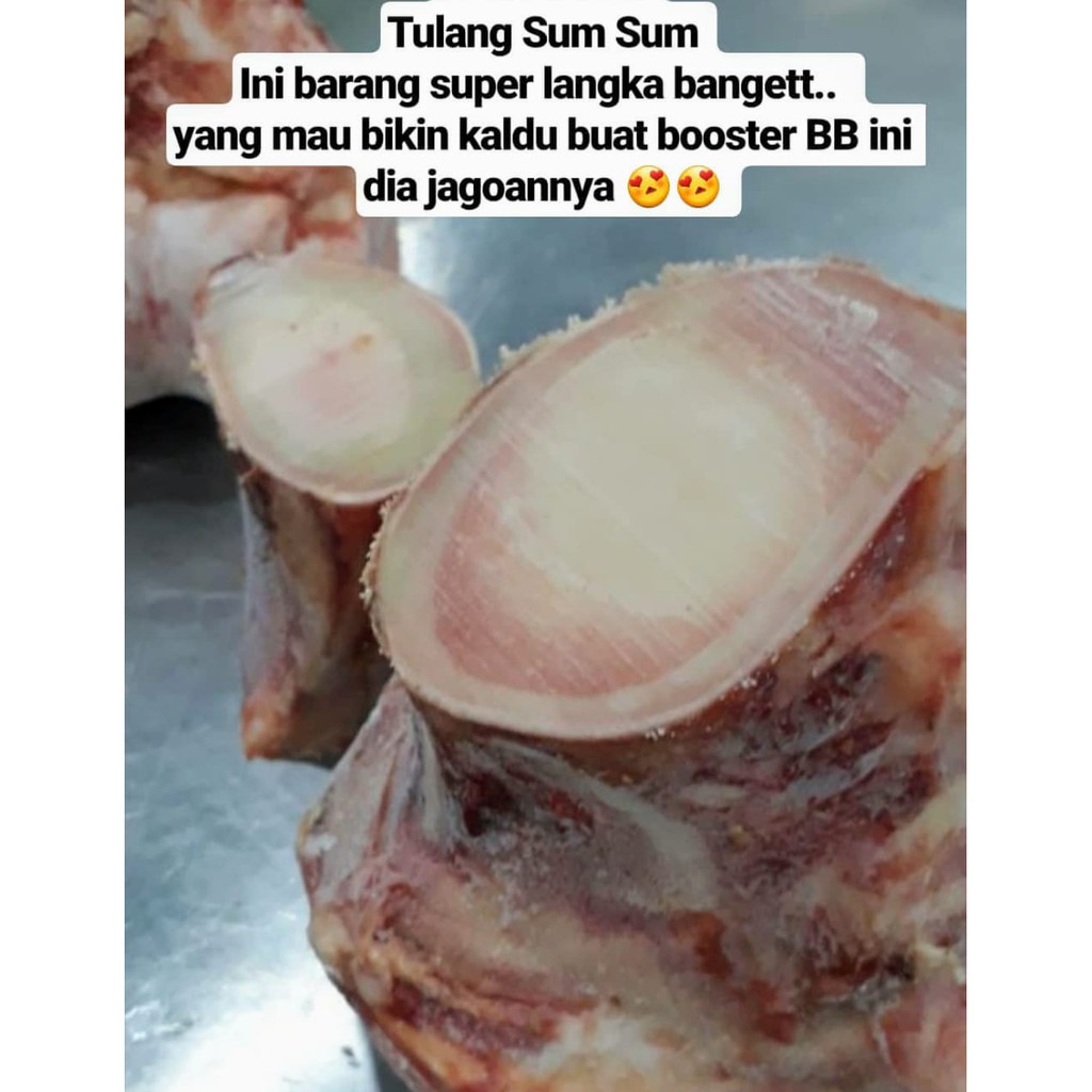 

Tulang Sumsum