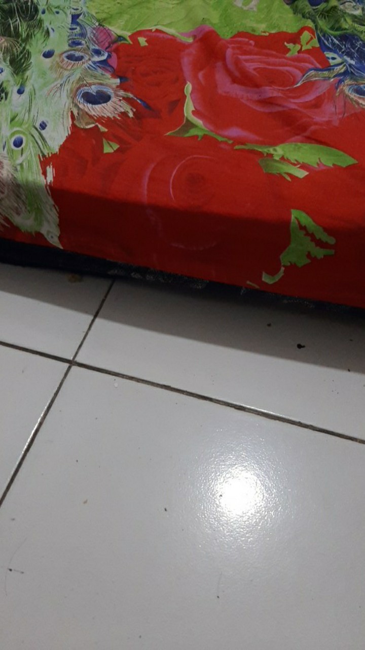 Pintu Kamar Mandi Pvc Plastik Hijau Putih Kuning Biru Pink Urat Kayu