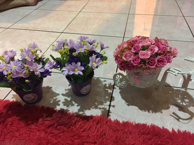 Bunga Hias Bunga Daisy Cantik Shabby Bunga Shabby