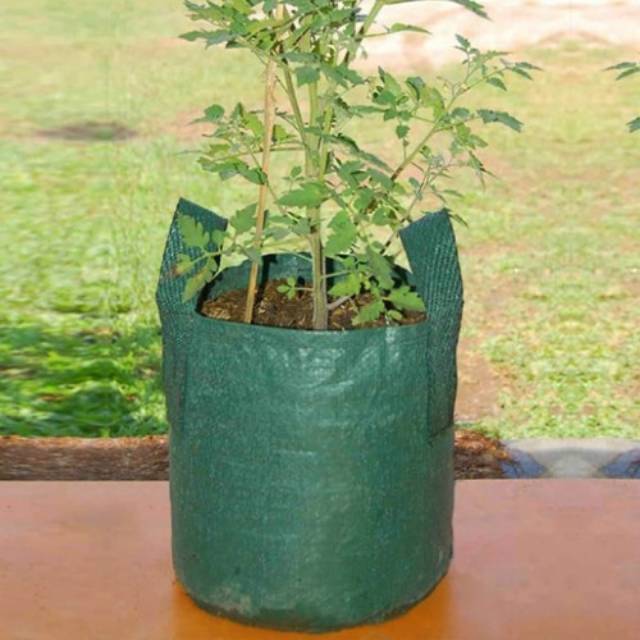 Planter Bag 20 Liter Easy Grow Pot Bibit Tanaman Buah Bunga Sayuran