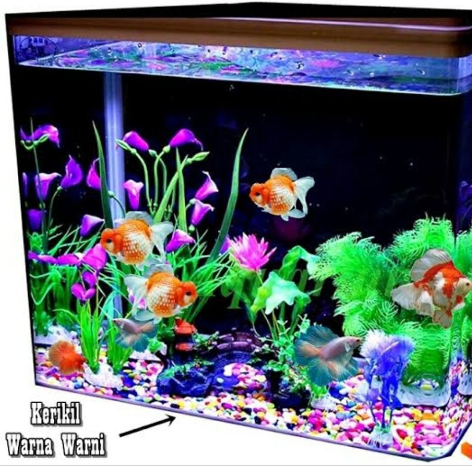 Batu Warna Warni Aquarium ISI 250gr / BATU TAIWAN / BATU HIAS AKUARIUM / HIASAN POT