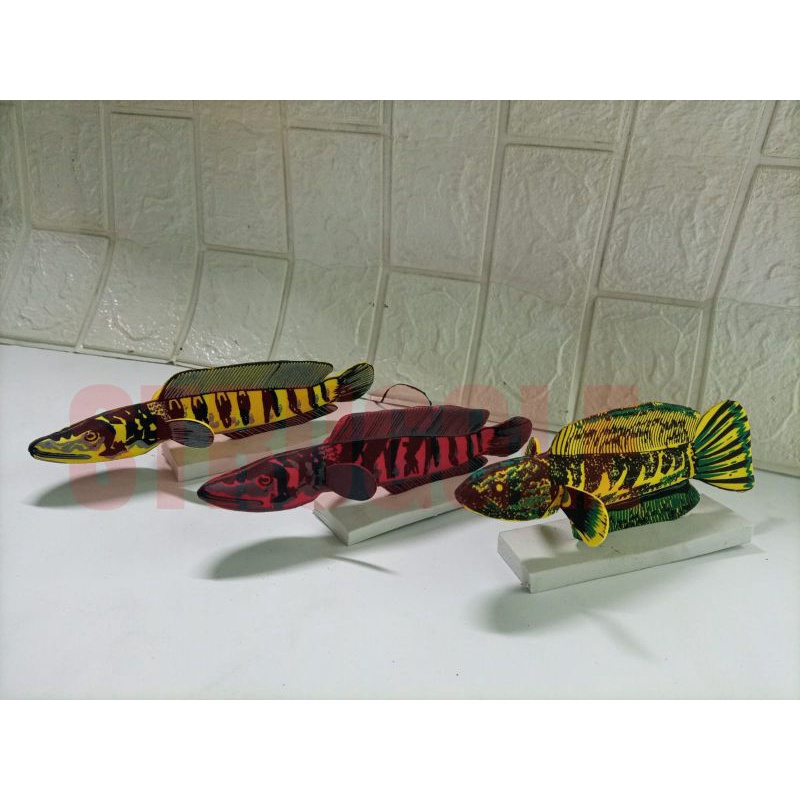 PATUNG WAYANG BONEKA CHANA AURANTI, YELLOW MARU, RED MARU,blue PULCHRA/IKAN GABUS (STRUGGLE)AQUARIUM AQUASCAPE POLADARIUM  PEMANAS PANCINGAN LATIHAN BIAR GALAK DAN AGRESIF ANTI MAGER