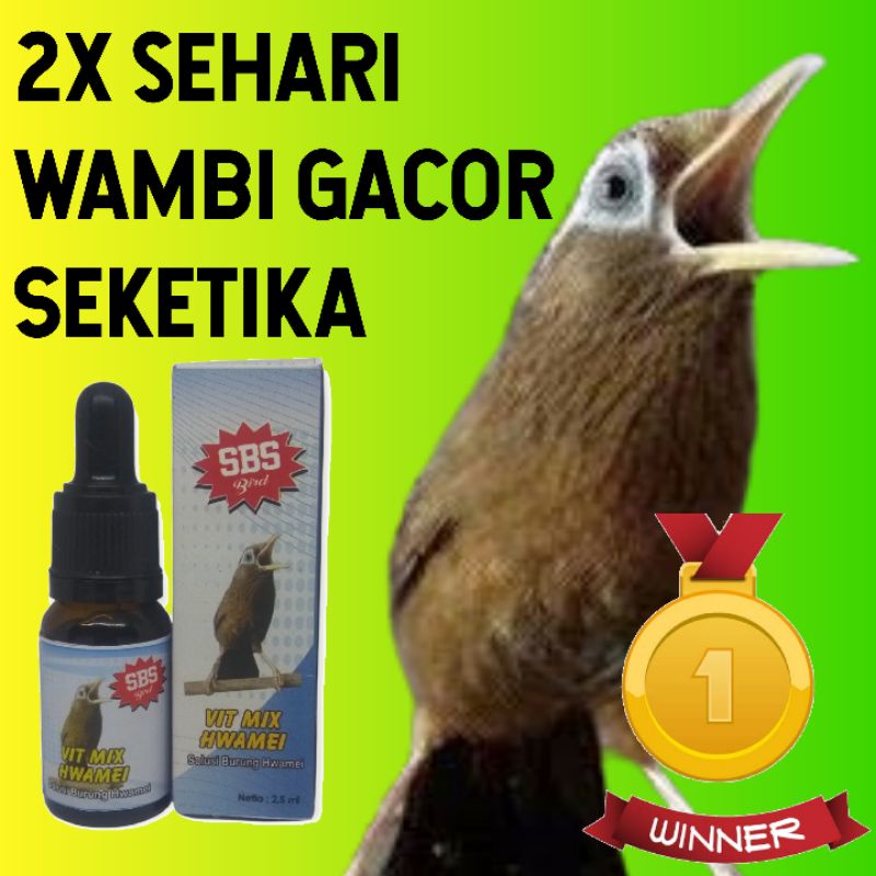 VIT MIX HEAMEI PENGGACOR SOLUSI ANTI MACET BURUNG HWAMEI WAMBI HWA