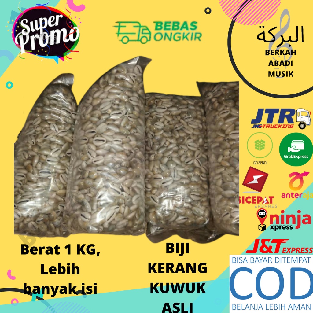 biji congklak 1 kilogram biji congklak 1 kg biji dakon biji congklak biji kuwuk biji kerang biji ker