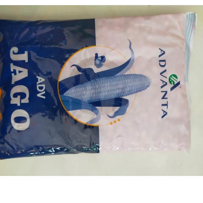 Kekinian Benih jagung Hibrida PAC 789 RAKSASA 1kg diganti PAC 789 ADV JAGO .... ....