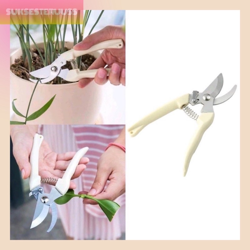 Gunting Dahan Ranting / Gunting Ranting Daun Tanaman Super Tajam Peralatan Berkebun Gunting Ranting Pruning