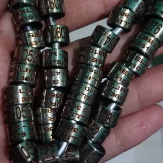 Ring burung baja merpati