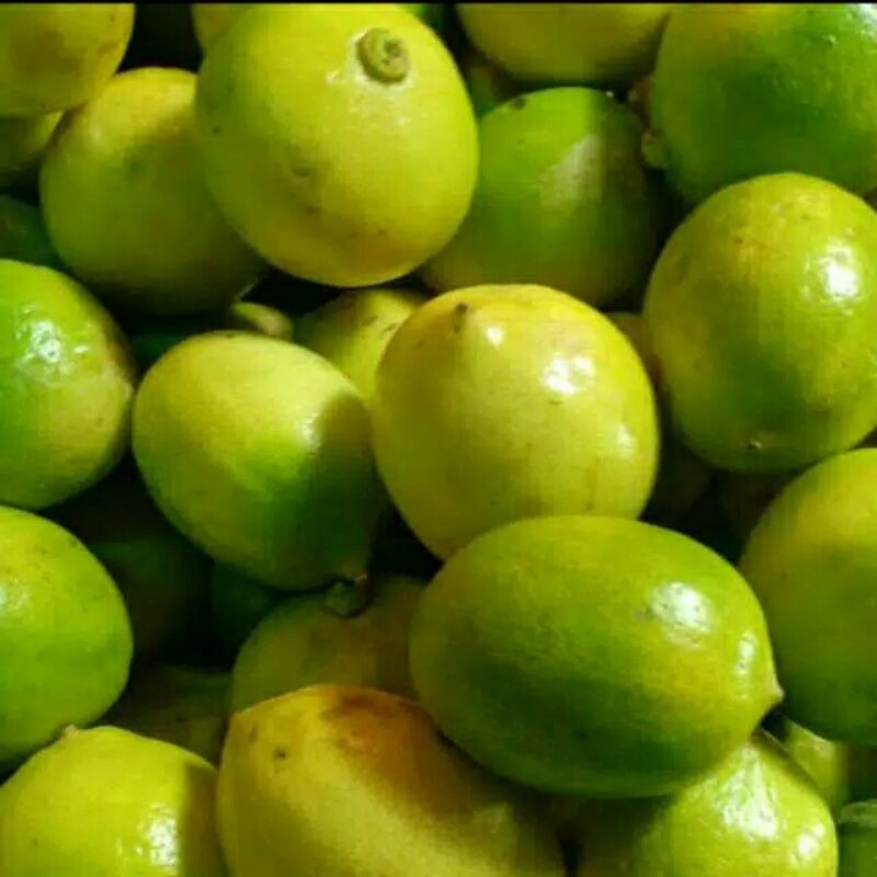 

lemon lokal seger 1kg