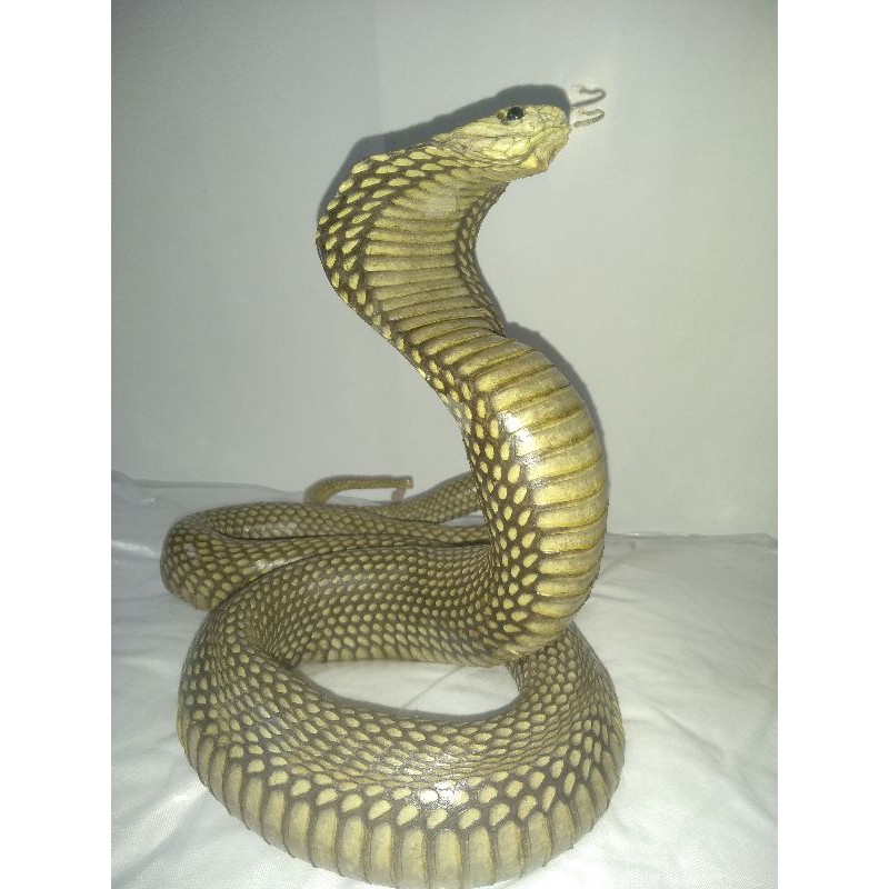 patung ular kobra asli wana kuning model 1 A