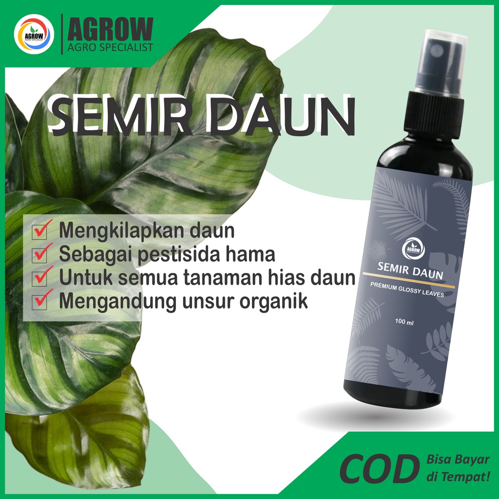 Semir Pengkilap Daun Tanaman Hias Leaf Shine Aglonema Monstera Calathea Keladi Puring 100 ml