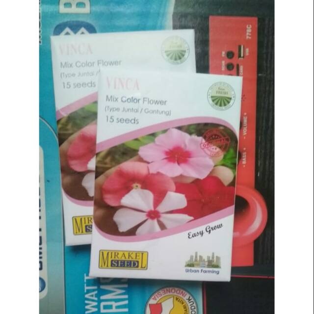 Vinca mix color miracle seed