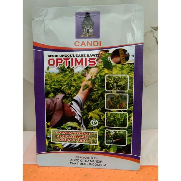 optimis benih cabai rawit putih