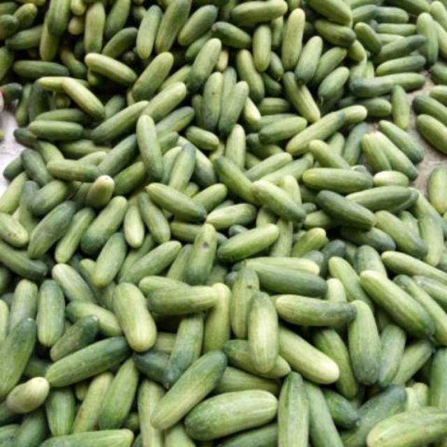 

[Bumi Mart] Timun | CUCUMBER | 1 KG